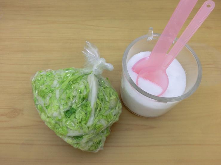白菜の保存方法2