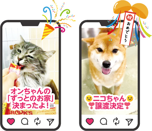 インスタグラムのイメージ