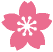 桜のイラスト