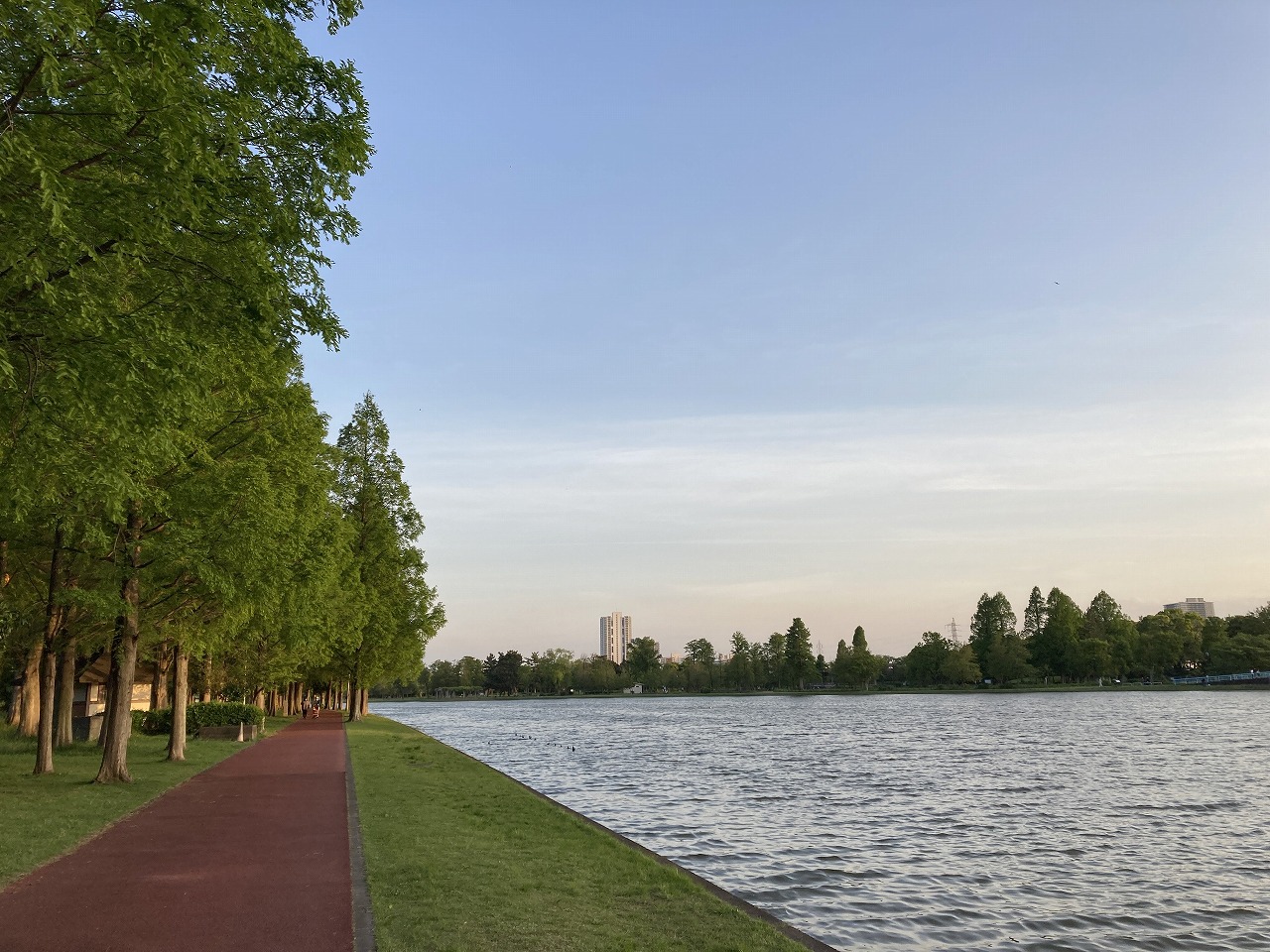 みさと公園