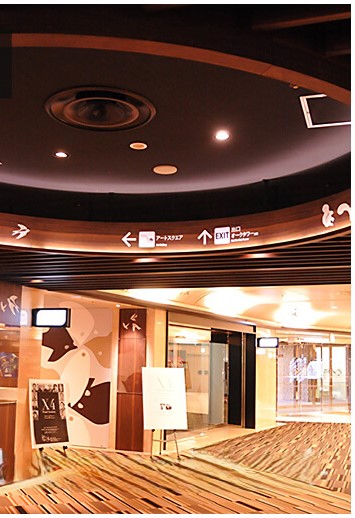 晃装飾キャノピー