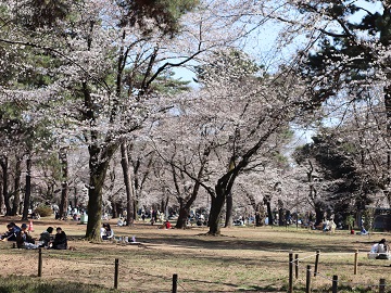 自由広場