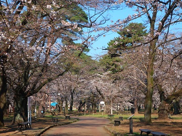 園内