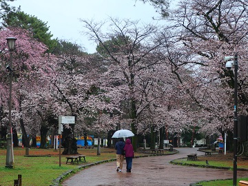 自由広場