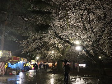 露店とサクラ