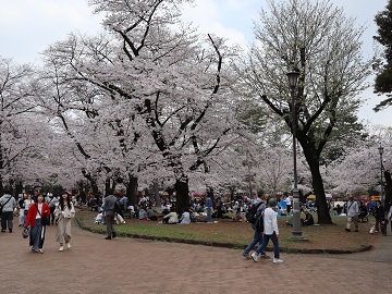 自由広場