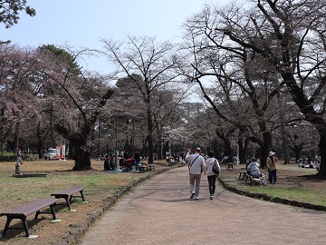 園内