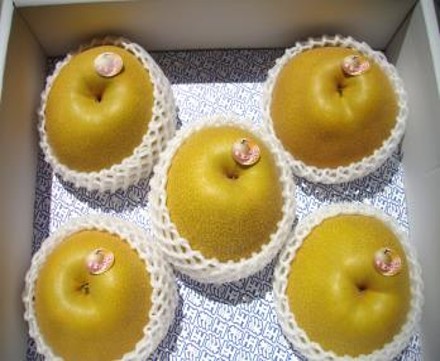 なし2