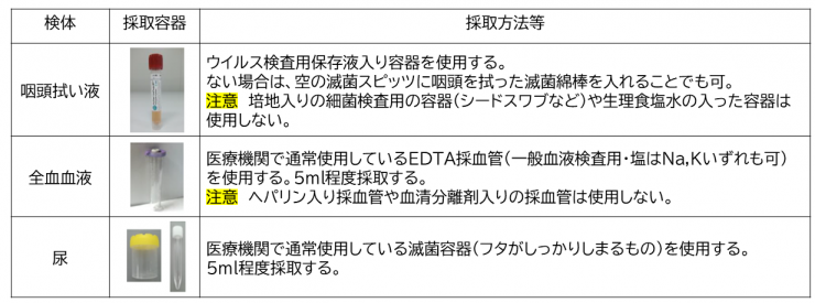 麻しん検体