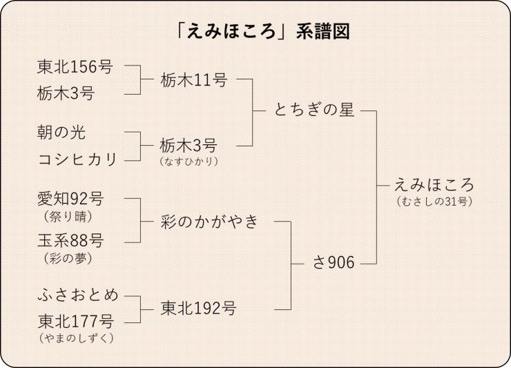 えみほころ系譜図
