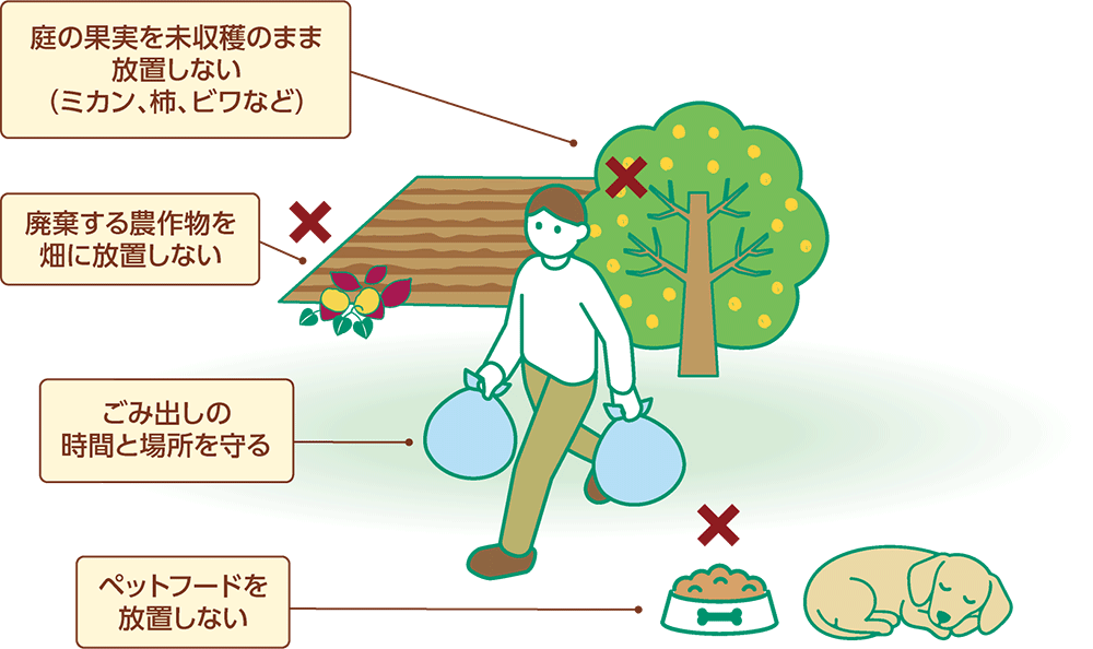 庭の果実を未収穫のまま放置しない（ミカン、柿、ビワなど）／廃棄する農作物を畑に放置しない／ごみ出しの時間と場所を守る／ペットフードを放置しない