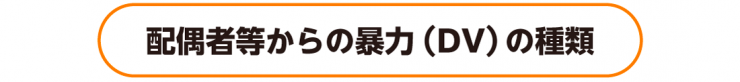 配偶者等からの暴力（DV）の種類