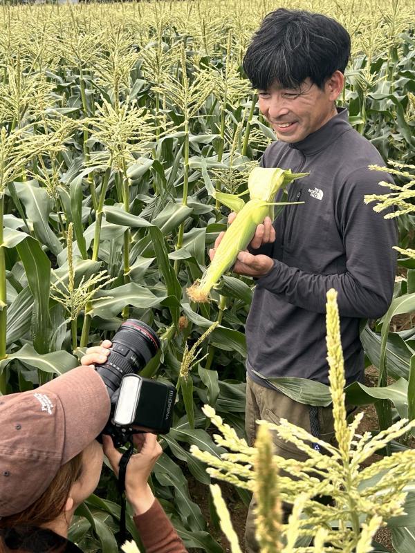 R806味来の収穫