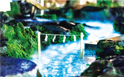 光る川の写真