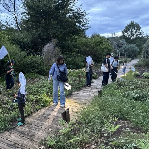 生き物を探す参加者の写真