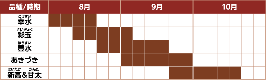 埼玉の梨カレンダー（8月〜10月）