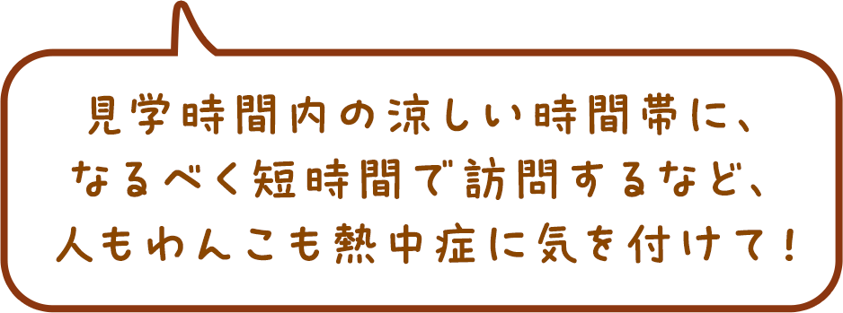 見学時間内の涼しい時間帯に、なるべく短時間で訪問するなど、人もわんこも熱中症に気を付けて！
