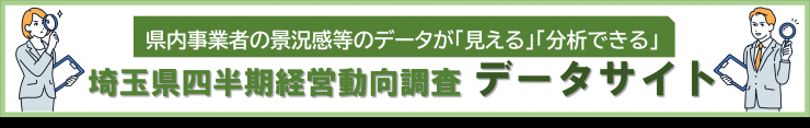 datasite