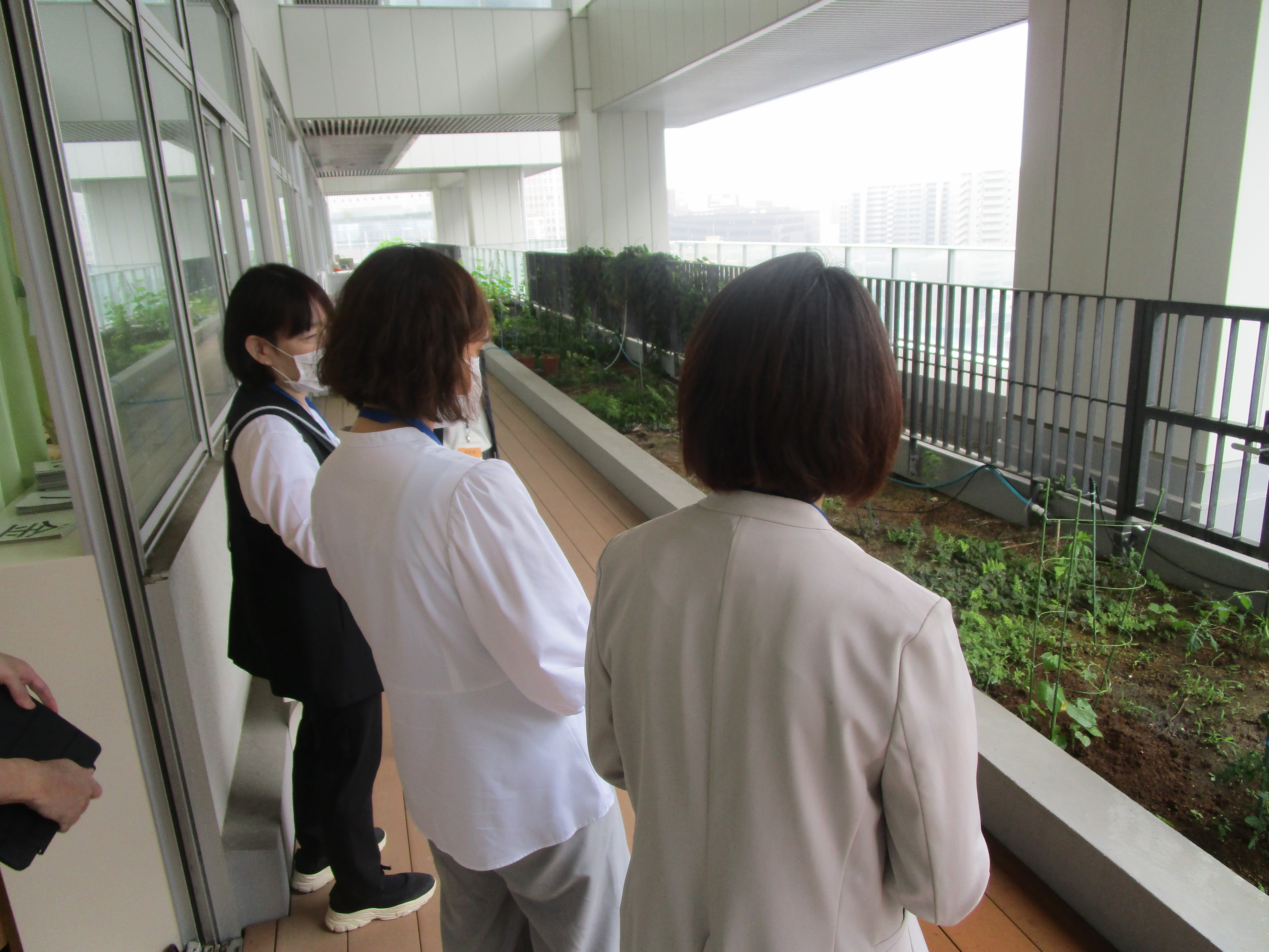写真7