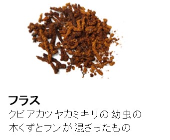 フラス
