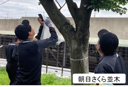 活動写真