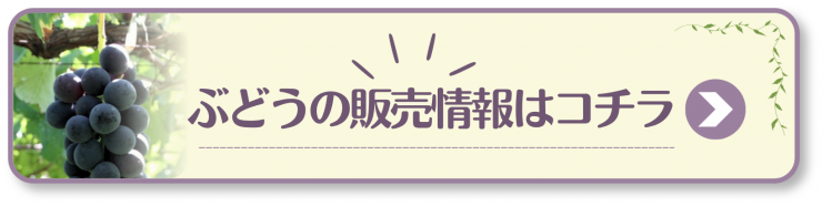 ぶどう