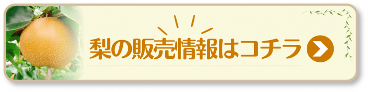梨