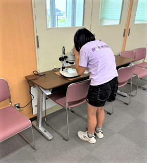 参加者が、ダンゴムシを顕微鏡観察している様子の写真。