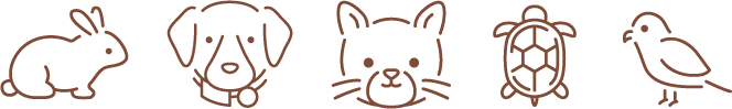 色々な動物（うさぎ、犬、猫、亀、鳥）のイラスト