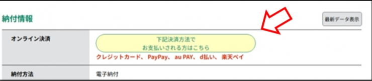 online-payment