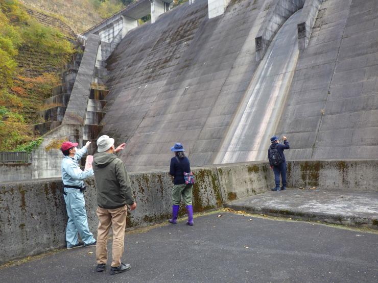 damu