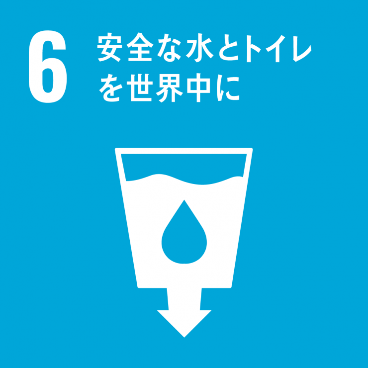 SDGsicon6
