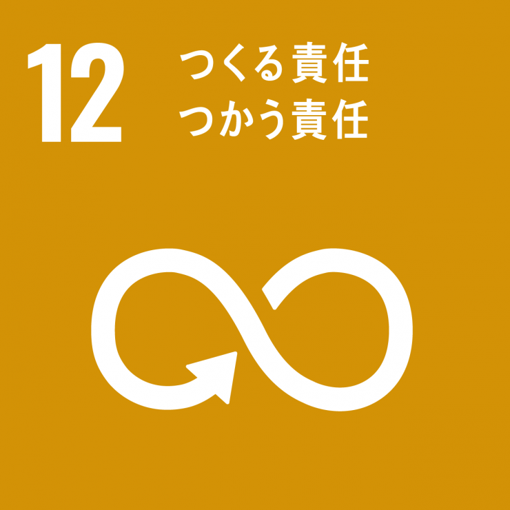 SDGsicon12