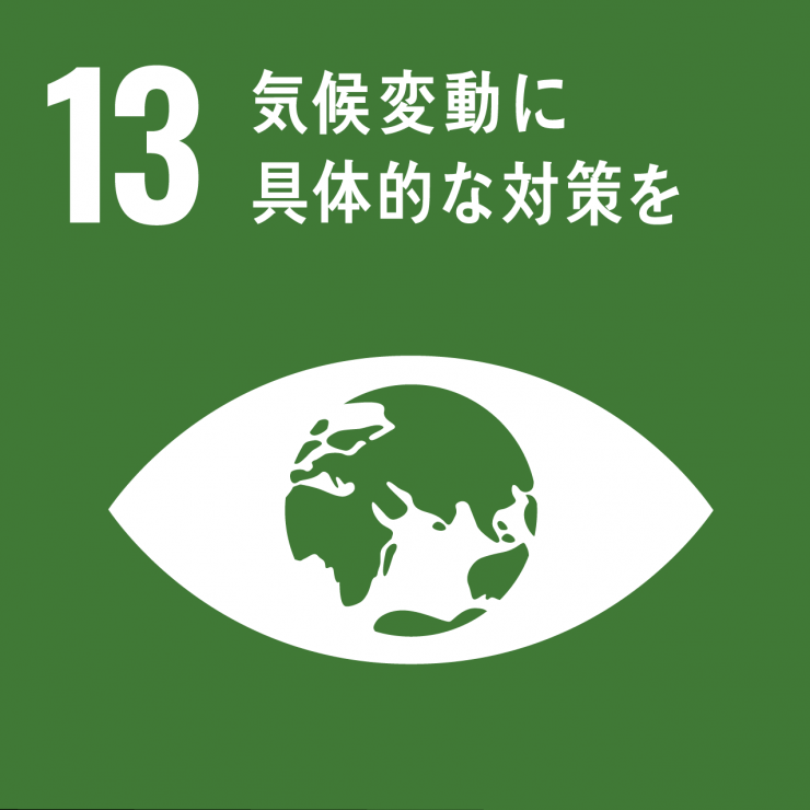 SDGsicon13