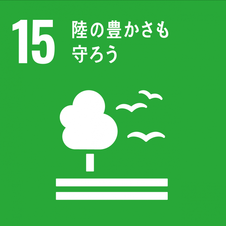 SDGsicon15