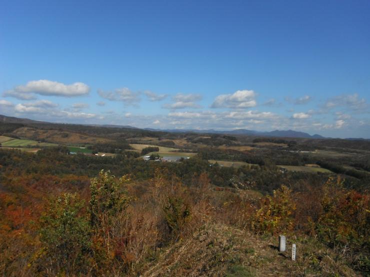 甲子道路の秋の風景