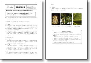 画像PDF