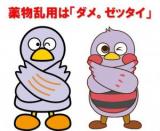 ダメ。ゼッタイ。普及運動