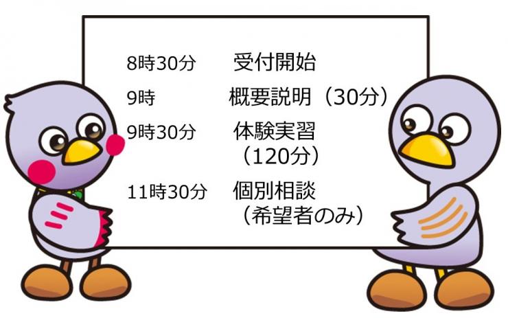 スケジュール