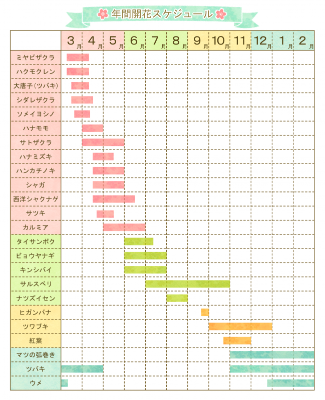 開花スケジュール