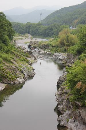 白鳥橋上流の風景