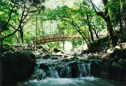 寺沢川の砂防施設