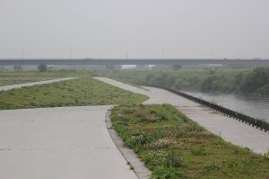 水辺広場の荒川