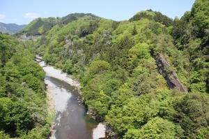 日野鷺橋上流写真