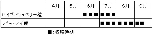 ブルーベリーの収穫時期の表