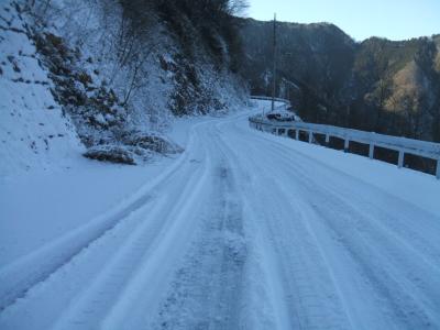 森林管理道に雪が積もっている写真です