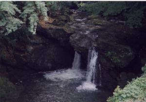 風布川・日本水