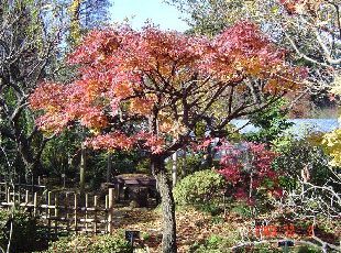 12月の全景