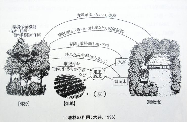 平地林の利用図