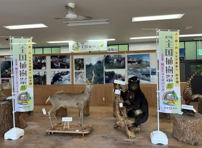 三峰ビジターセンターの剥製の展示の様子